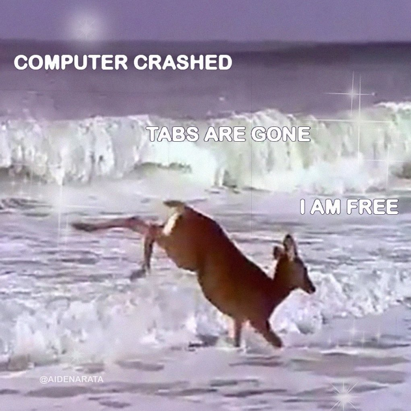 a dank meme for your consideration